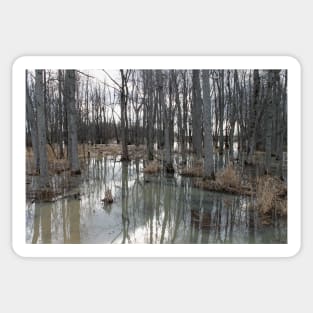 Woodland Stillness Sticker